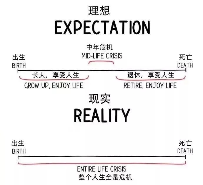 2019年 鬼知道这一年经历了什么