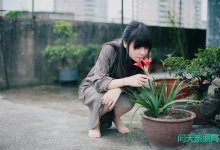 ĳжһƱҵ