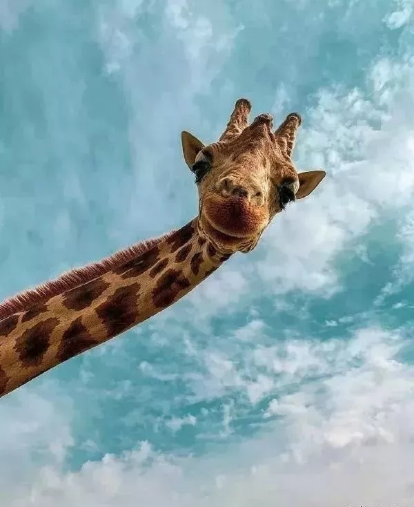 ֣ס