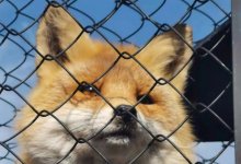 ƱȦ˵Ϣ