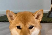 ҵΪʲôҪҵжһƱ?