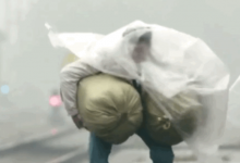 ·ɱҲɱ